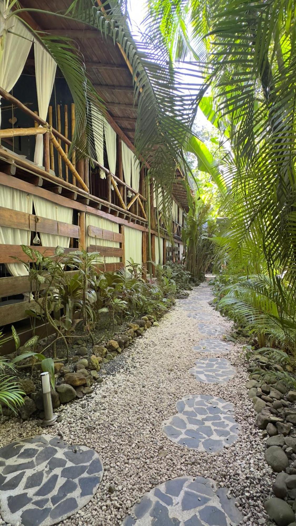 Canaima Chill House Playa Santa Teresa  Zewnętrze zdjęcie