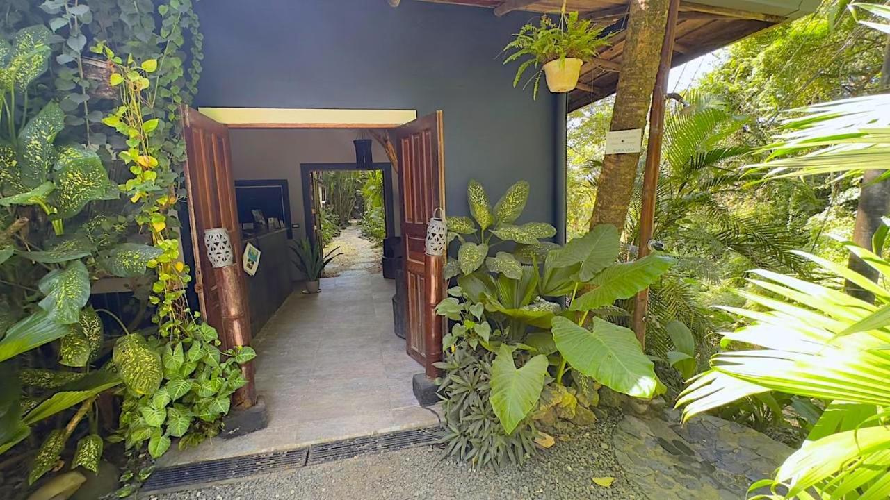 Canaima Chill House Playa Santa Teresa  Zewnętrze zdjęcie